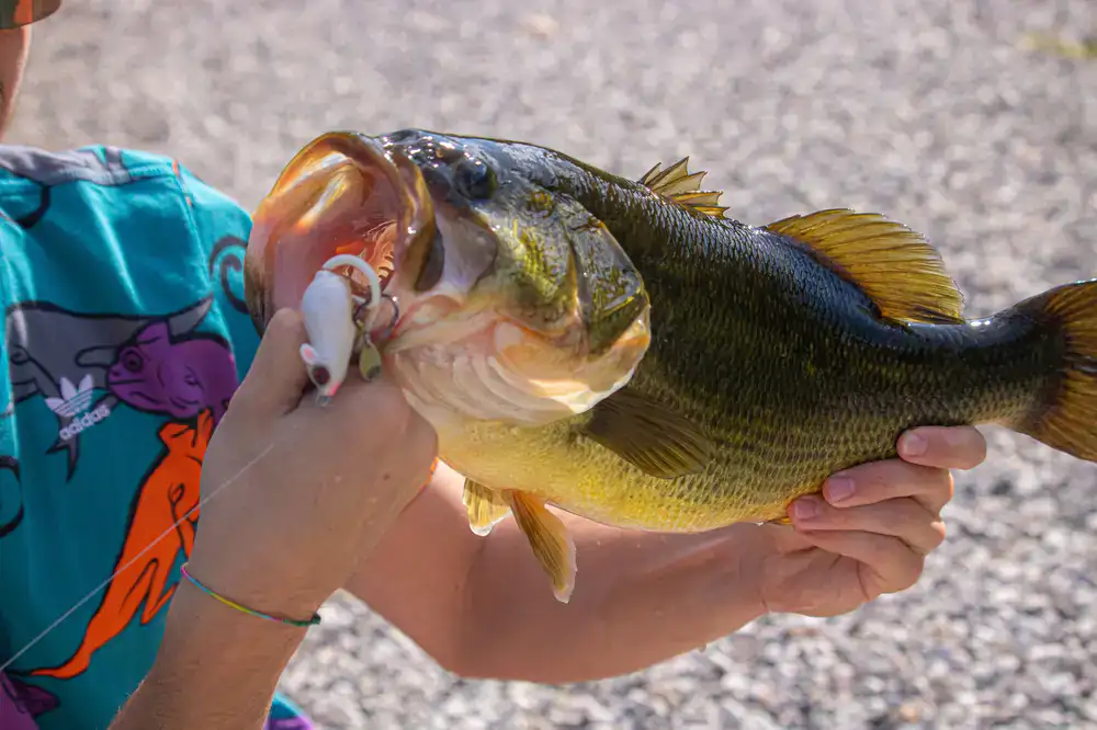 Digital angler displaying a massive trophy catch in-game